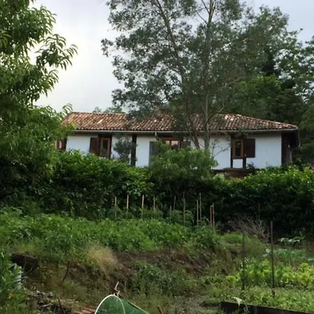 Renovated Centenary Barn In Village 3ch 140m2 * Castets